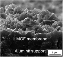 Graphical abstract: Alumina-supported cobalt–adeninate MOF membranes for CO2/CH4 separation