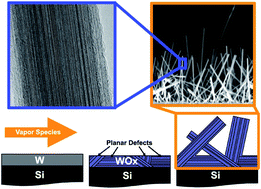 Graphical abstract: A planar-defect-driven growth mechanism of oxygen deficient tungsten oxide nanowires