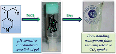 Graphical abstract: Transparent, free-standing, flexible and selective CO2 adsorbent films fabricated from homopolymer/metal salt hybrid gels