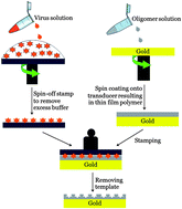 Graphical abstract: Influenza A virus molecularly imprinted polymers and their application in virus sub-type classification
