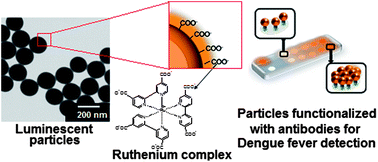 Graphical abstract: One-step synthesis of polymer core–shell particles with a carboxylated ruthenium complex: a potential tool for biomedical applications