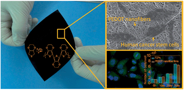 Graphical abstract: A facile approach for the fabrication of core–shell PEDOT nanofiber mats with superior mechanical properties and biocompatibility
