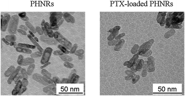 Graphical abstract: Highly efficient loading of amorphous paclitaxel in mesoporous hematite nanorods and their in vitro antitumor activity