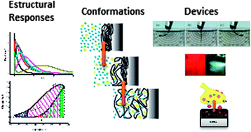 Graphical abstract: Reactions drive conformations. Biomimetic properties and devices, theoretical description