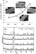 Graphical abstract: Ag–CuFe2O4 magnetic hollow fibers for recyclable antibacterial materials