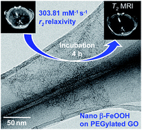 Graphical abstract: In situ growth of β-FeOOH nanorods on graphene oxide with ultra-high relaxivity for in vivo magnetic resonance imaging and cancer therapy