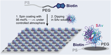 Graphical abstract: Nanoscale organization of proteins via block copolymer lithography and non-covalent bioconjugation