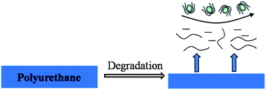 Graphical abstract: Degradable polyurethane for marine anti-biofouling