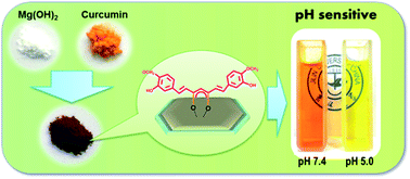 Graphical abstract: Magnesium hydroxide nanoplates: a pH-responsive platform for hydrophobic anticancer drug delivery