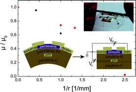 Graphical abstract: Towards flexible organic thin film transistors (OTFTs) for biosensing