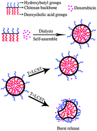 Graphical abstract: Preparation and characterization of a novel thermosensitive nanoparticle for drug delivery in combined hyperthermia and chemotherapy