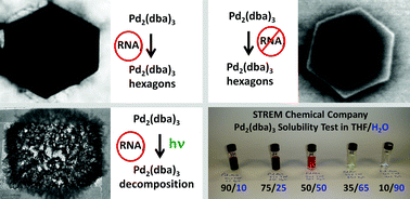 Graphical abstract: Comment on ‘Cooperativity between two selected RNA Pdases in the synthesis of Pd nanoparticles’ by J. L. Rouge et al., J. Mater. Chem., 2010, 20, 8394–8398