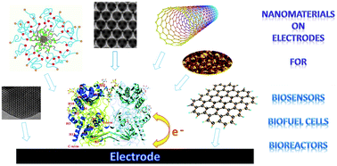 Graphical abstract: Nanomaterials for bio-functionalized electrodes: recent trends
