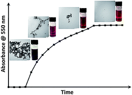 Graphical abstract: Arresting the time-dependent H2O2 mediated synthesis of gold nanoparticles for analytical detection and preparative chemistry