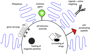 Graphical abstract: Recent trends in the use of lipidic nanoparticles as pharmaceutical carriers for cancer therapy and diagnostics