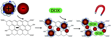 Graphical abstract: Doxorubicin loading on graphene oxide, iron oxide and gold nanoparticle hybrid