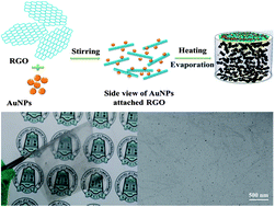 Graphical abstract: One-pot green synthesis, characterizations, and biosensor application of self-assembled reduced graphene oxide–gold nanoparticle hybrid membranes