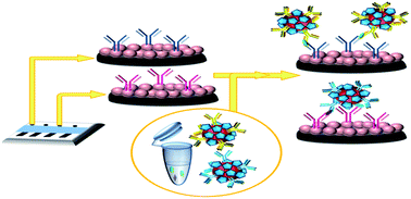 Graphical abstract: Nanomaterials and biomaterials in electrochemical arrays for protein detection