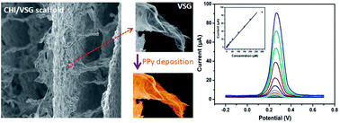 Graphical abstract: A metal-catalyst free, flexible and free-standing chitosan/vacuum-stripped graphene/polypyrrole three dimensional electrode interface for high performance dopamine sensing