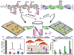 Graphical abstract: Mussel-inspired self-coating at macro-interface with improved biocompatibility and bioactivity via dopamine grafted heparin-like polymers and heparin