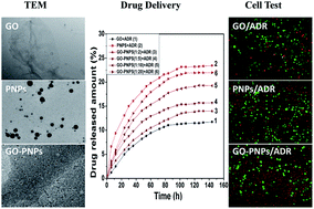 Graphical abstract: Thermo-sensitive graphene oxide–polymer nanoparticle hybrids: synthesis, characterization, biocompatibility and drug delivery