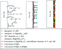 Graphical abstract: Tailoring the composition of fluoride conversion coatings to achieve better corrosion protection of magnesium for biomedical applications