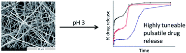 Graphical abstract: Pulsatile drug release from electrospun poly(ethylene oxide)–sodium alginate blend nanofibres
