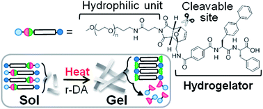 Graphical abstract: Design of peptide-based bolaamphiphiles exhibiting heat-set hydrogelation via retro-Diels–Alder reaction