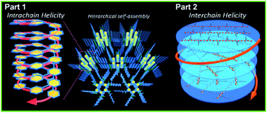 Graphical abstract: Hierarchically self-assembled helical aromatic conjugated polymers