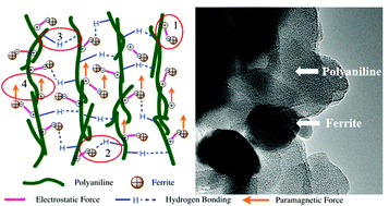 Graphical abstract: Ferrite-grafted polyaniline nanofibers as electromagnetic shielding materials