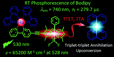 Graphical abstract: Observation of the room temperature phosphorescence of Bodipy in visible light-harvesting Ru(ii) polyimine complexes and application as triplet photosensitizers for triplet–triplet-annihilation upconversion and photocatalytic oxidation
