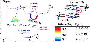 Graphical abstract: Phosphorescent mechanism for single-dopant white OLED of FPt: electronic structure and electron exchange-induced energy transfer