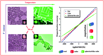 Graphical abstract: High quality multi-functional NaErF4 nanocrystals: structure-controlled synthesis, phase-induced multi-color emissions and tunable magnetic properties