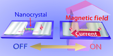 Graphical abstract: Giant negative magnetoresistance in an organic nanocrystal: site-selective device fabrication by nanoscale electrocrystallization