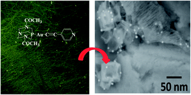 Graphical abstract: From Au(i) organometallic hydrogels to well-defined Au(0) nanoparticles