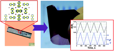 Graphical abstract: A new (TTF)11I8 organic molecular conductor: from single crystals to flexible all-organic piezoresistive films