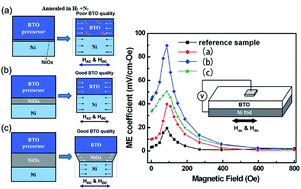 Graphical abstract: Role of the interface on the magnetoelectric properties of BaTiO3 thin films deposited on polycrystalline Ni foils