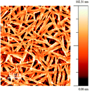 Graphical abstract: Charge transport in a two-dimensional molecular organic semiconductor