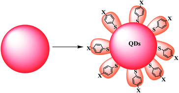 Graphical abstract: Prolonging the lifetime of excited electrons of QDs by capping them with π-conjugated thiol ligands