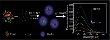 Graphical abstract: One-step prepared fluorescent copper nanoclusters for reversible pH-sensing