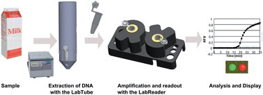 Graphical abstract: A versatile-deployable bacterial detection system for food and environmental safety based on LabTube-automated DNA purification, LabReader-integrated amplification, readout and analysis