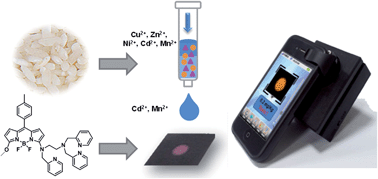 Graphical abstract: An SPE-assisted BODIPY fluorometric paper sensor for the highly selective and sensitive determination of Cd2+ in complex sample: rice