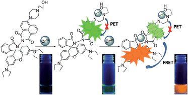 Graphical abstract: A novel dual-switch fluorescent probe for Cr(iii) ion based on PET–FRET processes