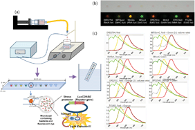 Graphical abstract: A dip-stick type biosensor using bioluminescent bacteria encapsulated in color-coded alginate microbeads for detection of water toxicity