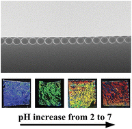 Graphical abstract: Two-dimensional inverse opal hydrogel for pH sensing