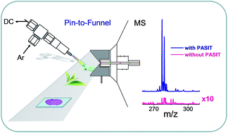 Graphical abstract: Plasma-based ambient sampling/ionization/transmission integrated source for mass spectrometry