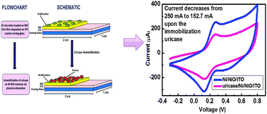Graphical abstract: Reagentless uric acid biosensor based on Ni microdiscs-loaded NiO thin film matrix