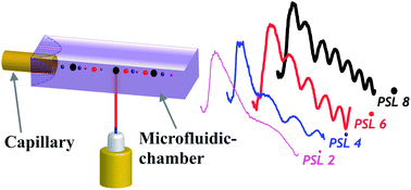 Graphical abstract: Multiplex single particle analysis in microfluidics