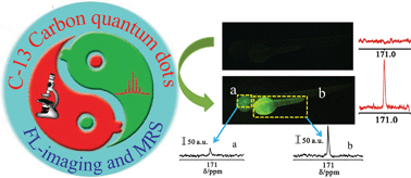 Graphical abstract: 13C-engineered carbon quantum dots for in vivo magnetic resonance and fluorescence dual-response