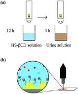 Graphical abstract: Quantification of an exogenous cancer biomarker in urinalysis by Raman Spectroscopy